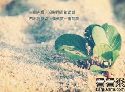 20160126033727511.jpg