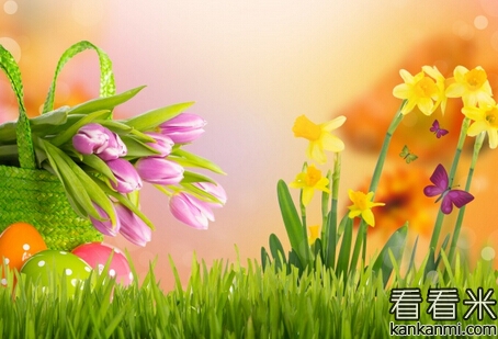 20160201094509402.jpg