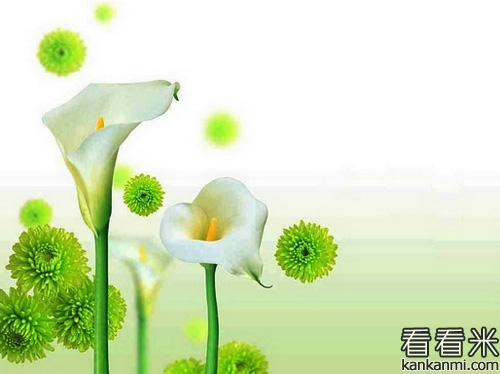 20160706054405985.jpg