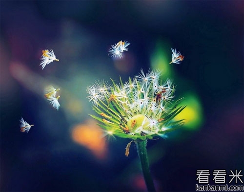 20160921052044471.jpg