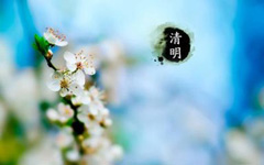 在清明节吃苦菜