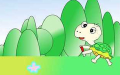 小乌龟和小鹿