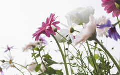 70dd62c8214f00c4ef6b3aa2ff86e5b1.jpg